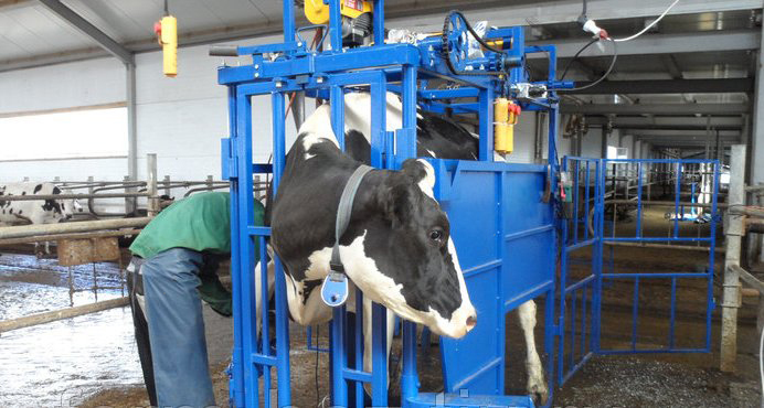 <span style="font-weight: bold;">Дополнительное оборудование для КРС</span>